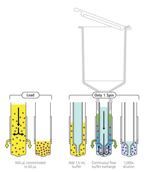 dialysis and buffer exchange